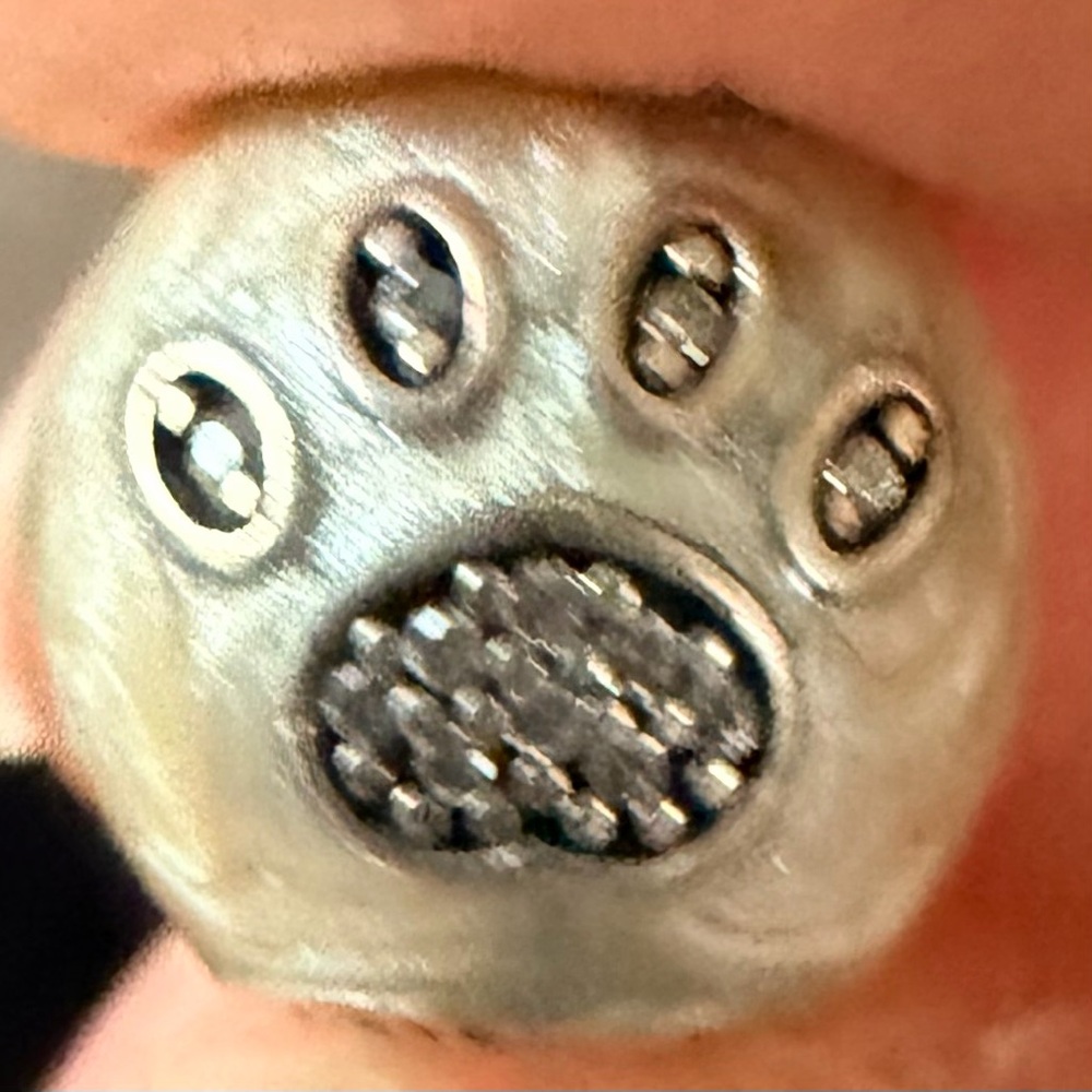 Pandora I LOVE Pawprint on iridescent charm